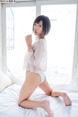 掌门女婿